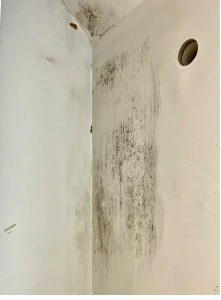 post damp treatment interior wall
